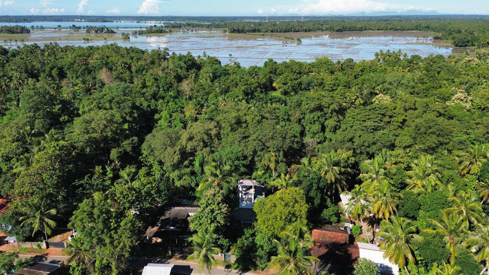 Yala Safari River View Hotel Tissamaharama Exterior photo