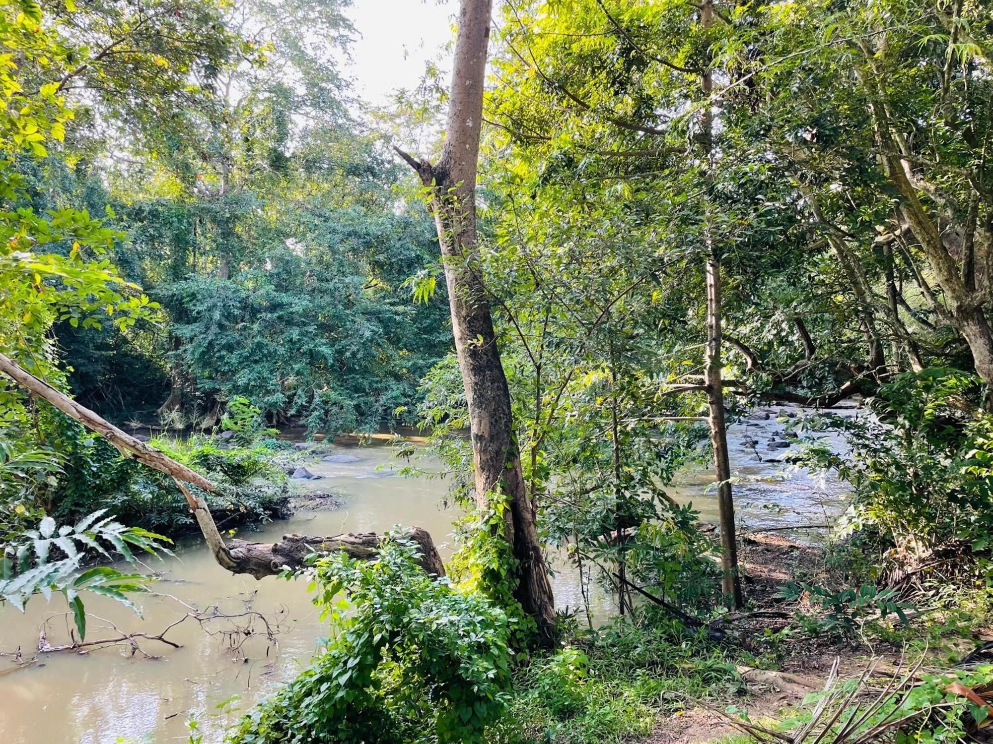 Yala Safari River View Hotel Tissamaharama Exterior photo